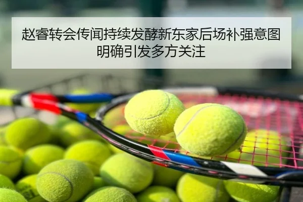 赵睿转会传闻持续发酵新东家后场补强意图明确引发多方关注